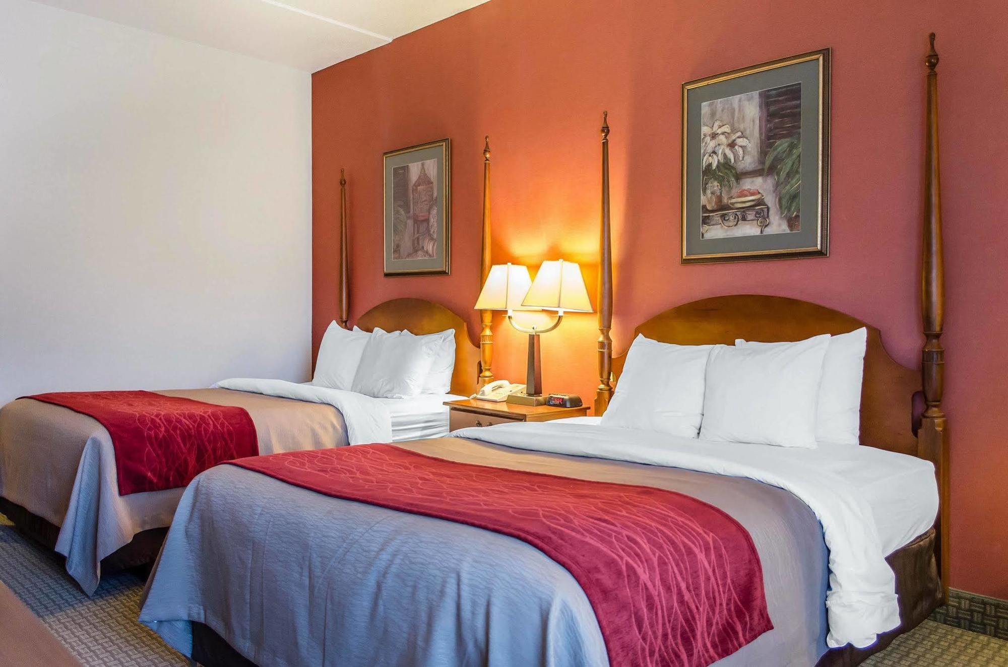 יורק Comfort Inn & Suites מראה חיצוני תמונה